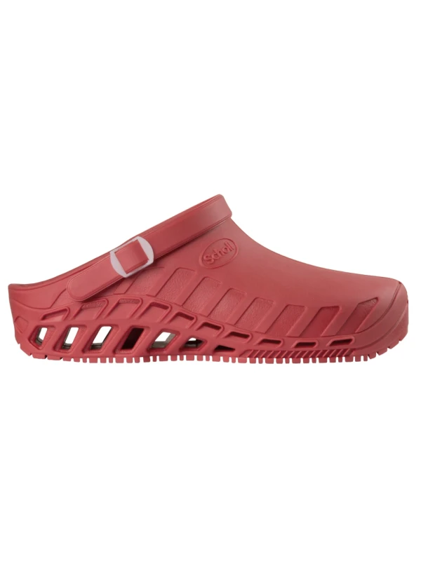 SCHOLL CLOG EVO