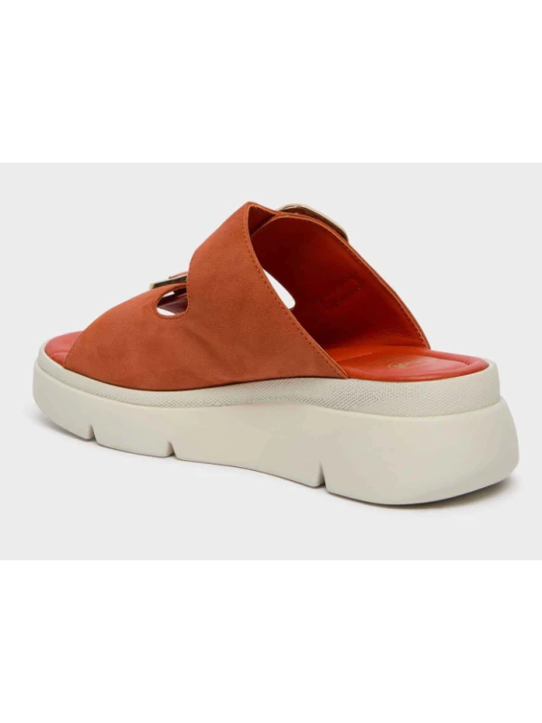 SCHOLL SANDALI BALI BUCKLE SCAMOSCIATI - COLORE...