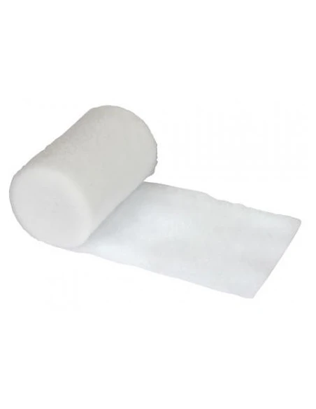 EURELAST BENDA OVATTA DI GERMANIA ORTOPEDICA 10CM - 10PZ