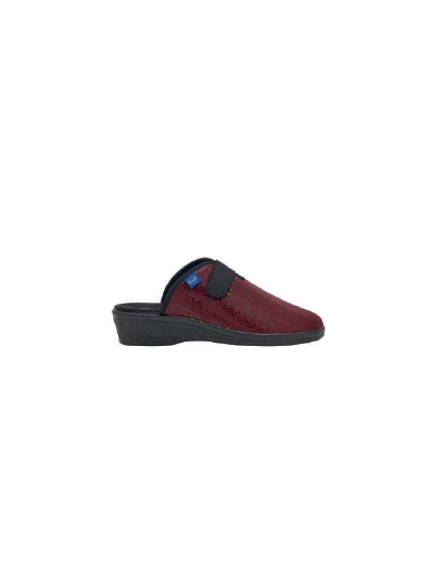SCHOLL PANTOFOLE ELSA STRAP BORDEAUX 2
