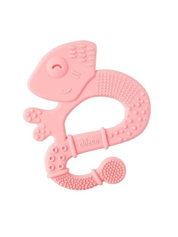 CHICCO MASSAGGIA DENTAR GIRL 2M 