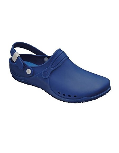 SCHOLL CLOG PROGRESS