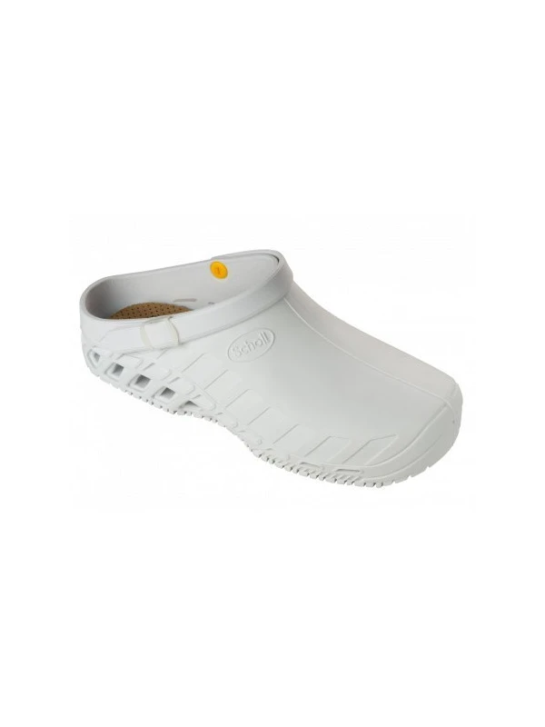 SCHOLL CLOG EVO