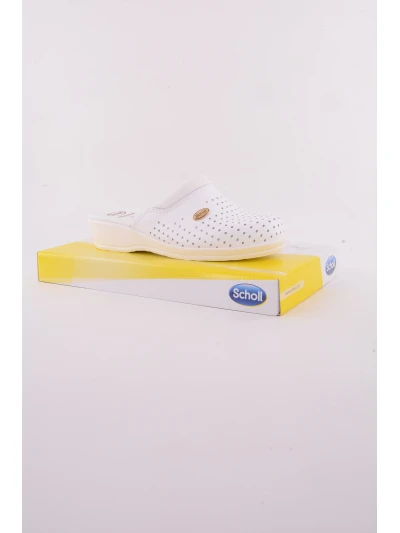SCHOLL CLOG BACKGUARD 2