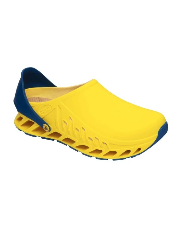 SCHOLL EVOFLEX