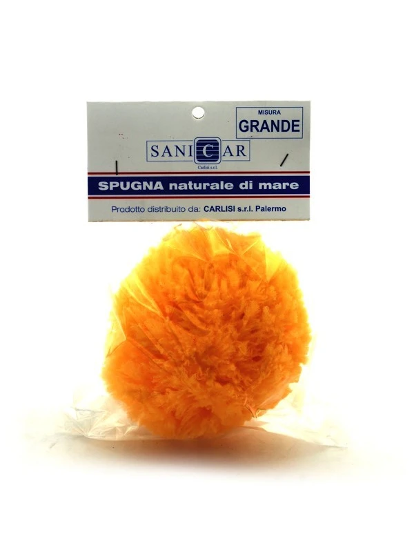 SANICAR SPUGNA MARE GIGANTE